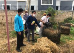 โครงการเกษตรอินทรีย์ วิถีพอเพียงตำบลพิชัย